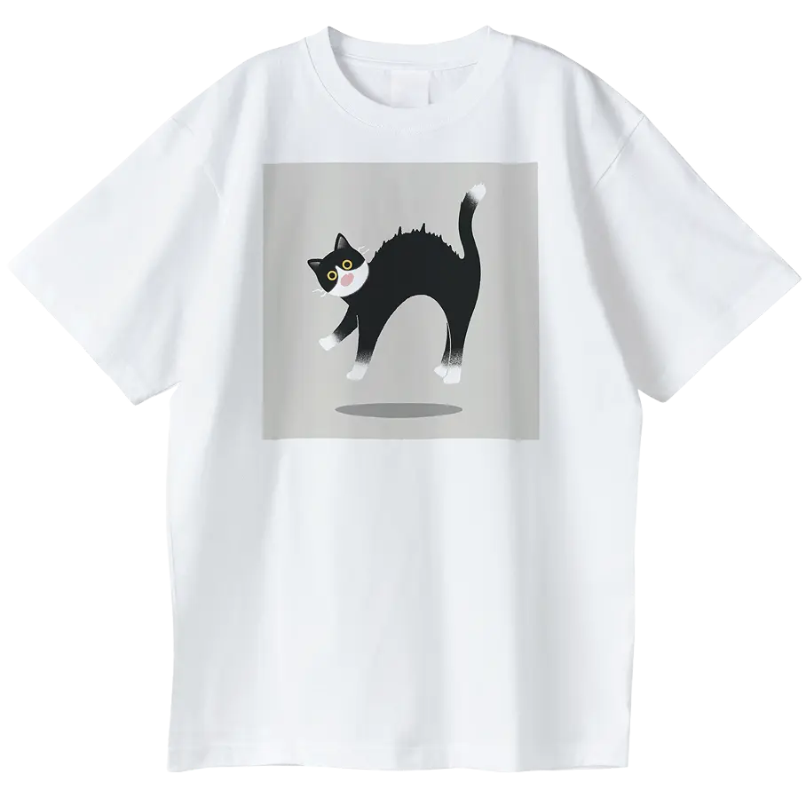猫、驚いて、わ。